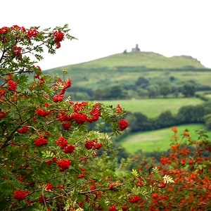 Rowan berries and Brentor church September 2021, Dartmoor Devon photographic print