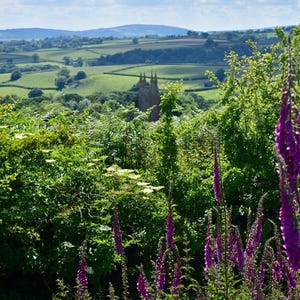 Vue de l'église Peter Tavy en juin, Dartmoor, Devon carte de voeux.