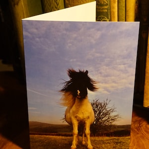 Pony giorno capelli cattivi, Dartmoor, Devon Greetings Card.