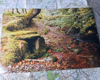 Herfst goed in Middlemoor, Dartmoor 12x 8 print