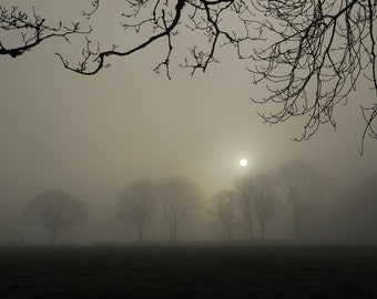 Silver Sunrise, Plasterdown, Dartmoor, Devon. A4 Photographic print.