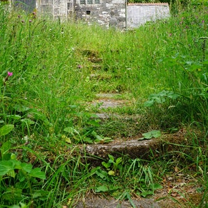 Sampford Spiney kerkhof mei 2020, Dartmoor 12 x 8 Fotografische print
