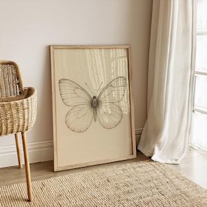 Minimal Butterfly Scientific Illustration - Vintage Entomology Print - Neutral Natural History Wall Art for Botanical or Gallery Decor