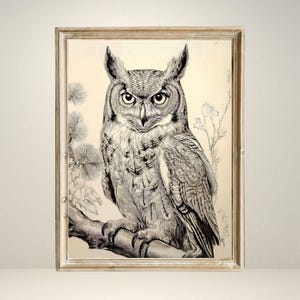 Digital Owl Art Print – Vintage Forest Bird Illustration, Instant Download, Rustic Wall Decor, Woodland Animal Sketch, Nature Drawing