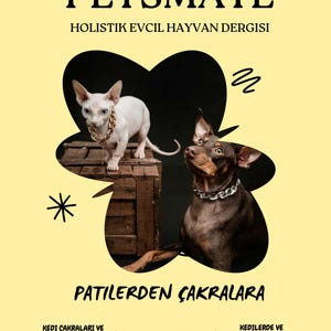 Może przedstawiać: Okładka magazynu z białym kotem Sfinksem i brązowym Dobermanem Pinscherem, oboje w obrożach łańcuchowych. Tytuł magazynu to "PETSMATE" z podtytułem "HOLISTYCZNY MAGAZYN DLA ZWIERZĄT". Tekst zawiera "PATILERDEN ÇAKRALARA" i inny tekst turecki.