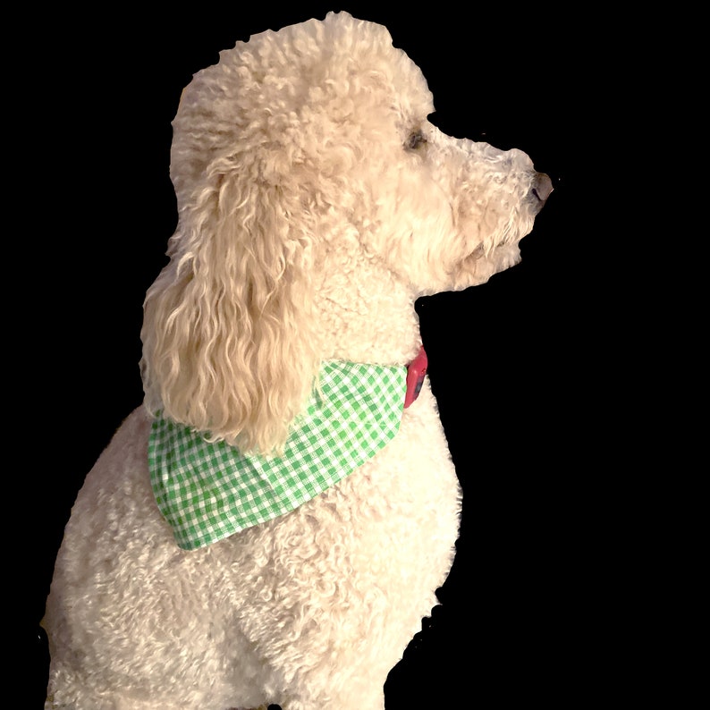 Green & White Gingham Pet Bandana, 4 Sizes Available, Pet Bib, Dog or Cat Bandana, Over-The-Collar Bandana, Bandana Scarf, Pet Bib image 6