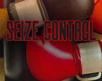 Seize Control - Angsty Forced Proximity to Brother's Best Friend Romance Novel