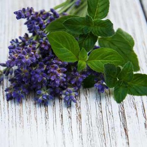 May include: A bunch of lavender and mint flowers on a white wooden surface.