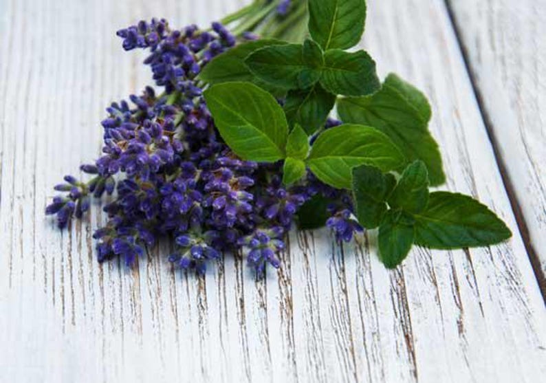 May include: A bunch of lavender and mint flowers on a white wooden surface.