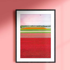 Arte murale con campi di tulipani olandesi, stampa fotografica di fiori, decorazioni per la casa con tulipani, accessorio per la casa colorato, fotografia originale
