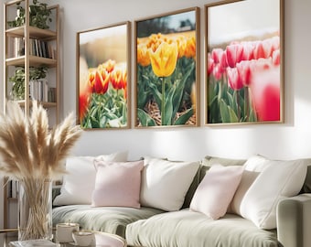 Tulips Wall Art, Set of 3 Photo Prints, Home Decor wall art, Colorful art prints, Travel poster, Dutch tulip field, Real photography