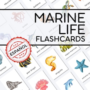 Vida Marina Karteikarten für Imprimir | Animals del Océano y Plantas Marinas | Tarjetas de Vocabulario Español für Niños | Montessori PDF