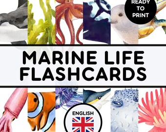 MARINE LIFE FLASHCARDS | Educational Printable Cards | Montessori Pre-School Cards | Homeschool Activity | English Learning Resources