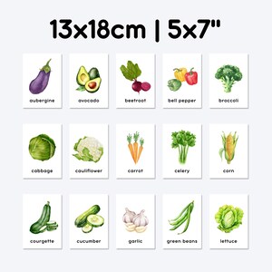 13x18cm | 5x7" | aubergine, avocado, beetroot, bell pepper, broccoli, cabbage, cauliflower, carrot, celery, corn, courgette, cucumber, garlic, green beans, lettuce