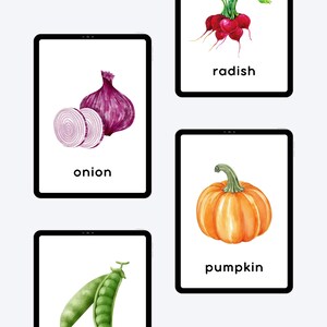 onion, peas, radish, pumpkin