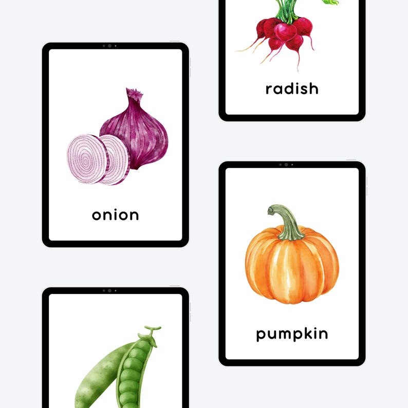 onion, peas, radish, pumpkin