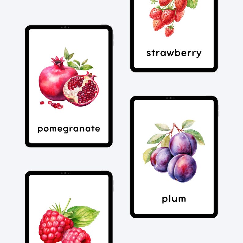 pomegranate, raspberry, strawberry, plum