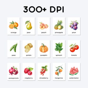 300+ DPI | orange, pear, peach, pineapple, plum, peas, potato, pumpkin, spinach, tomato, pomegranate, raspberry, strawberry, tangerine, watermelon