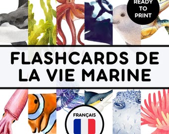 FLASHCARDS de la VIE MARINE | Educational Printable Cards | Montessori Pre-School Cards | Homeschool Activity | French Learning Resources