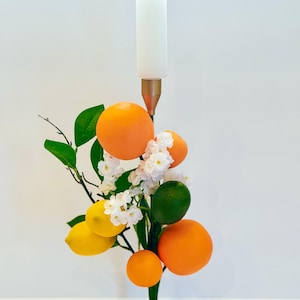 Whimsical Mixed Citrus Fruit Candlestick Holder