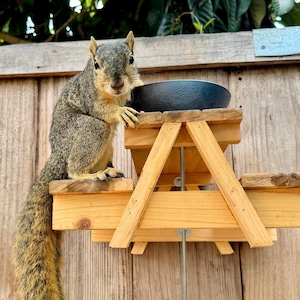 May include: A squirrel sits on a small wooden picnic table bird feeder with a black bowl. The squirrel has gray and brown fur and a long, bushy tail. The feeder is made of light-colored wood and is mounted on a wooden fence.