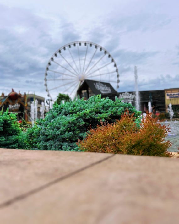 Ferris Wheel, Pigeon Forge,