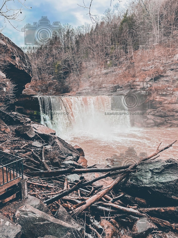 Cumberland Falls, Winter, Trees