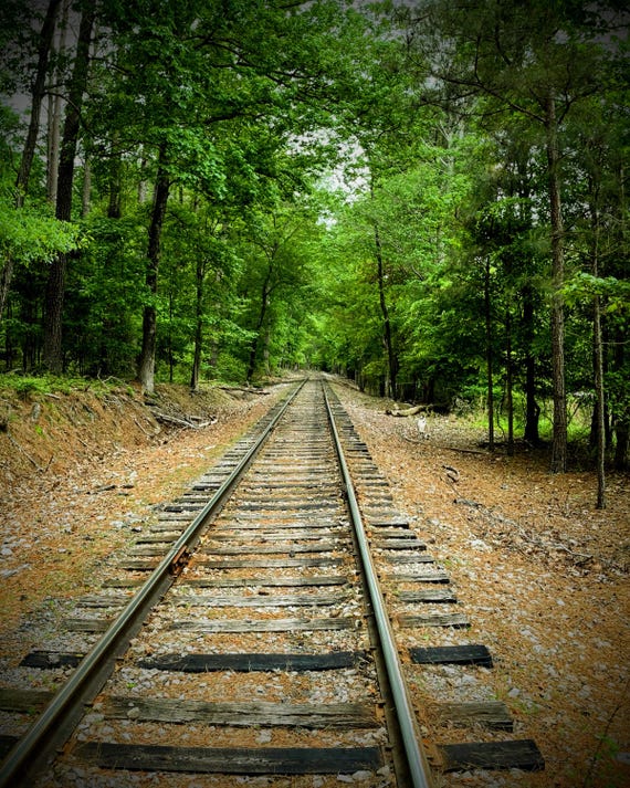 Train Tracks, Trees, Greenery