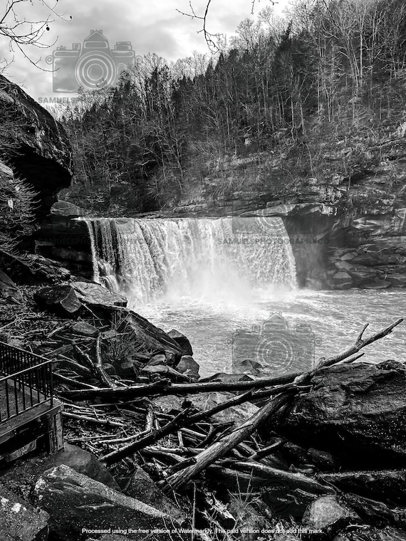 Cumberland Falls, Winter, Trees