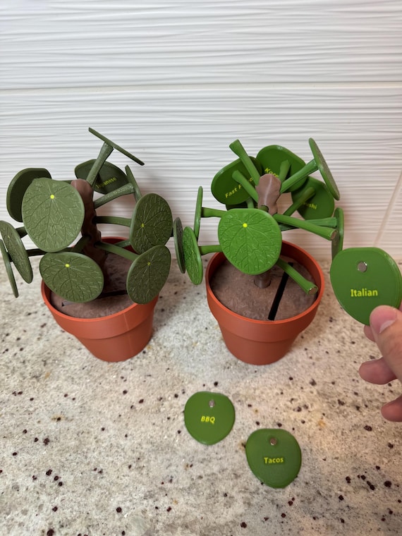 Pilea Food Picker  Chinese Money Plant Dinner Decider, 12 Meal Choices,  Coin Bank, Gift - Etsy