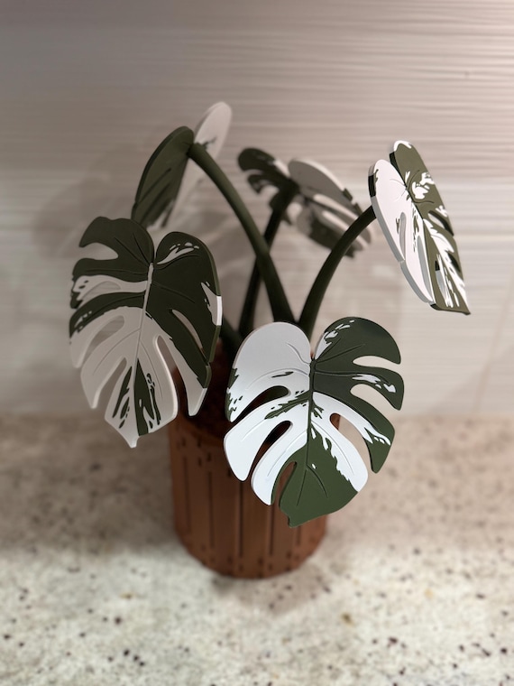 Monstera Plant Coaster Set – 3D Printed Magnetic Leaves - Etsy