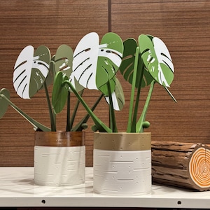 3D printed Albo Monstera Coaster Set | Standard and Custom Hand Painted Wood Pots