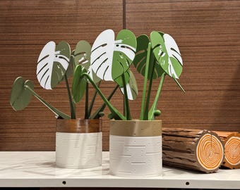 3D printed Albo Monstera Coaster Set | Standard and Custom Hand Painted Wood Pots