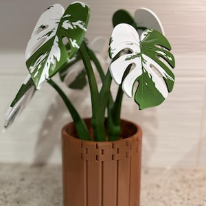 Monstera Coaster Set – | Magnetic Plant Coasters, Houseplant Decor, Hidden Coasters, Unique Home Decor, 3D Printed, Gift for Plant Lovers