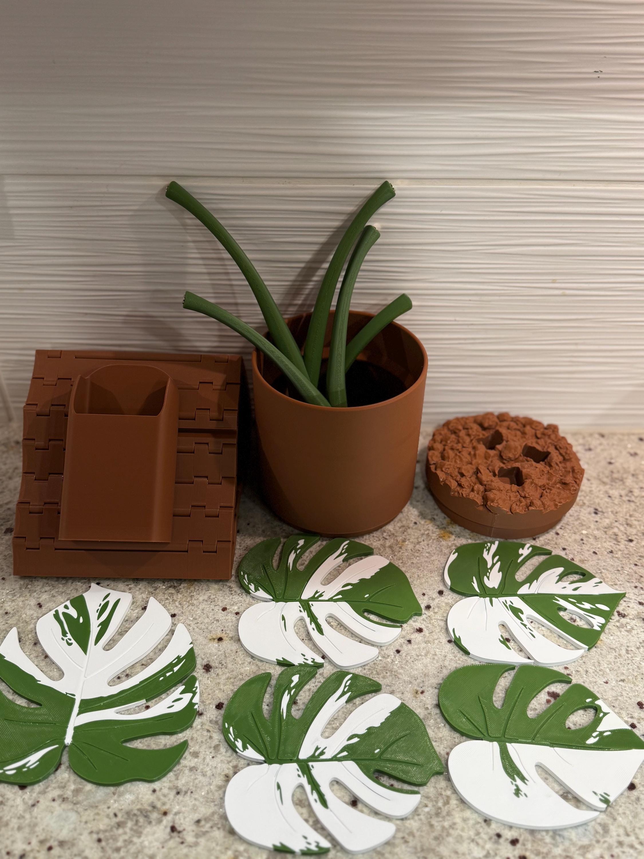 Monstera Plant Coaster Set – 3D Printed Magnetic Leaves - Etsy