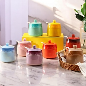 Ceramic Seasoning Jar | French Style Sugar & Salt Storage Jar with Lid | Colourful Kitchen Spice Container | Vintage Ceramic Condiment Pot