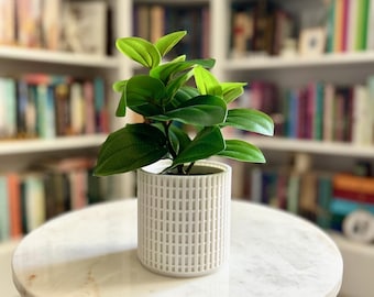 MACETA TEJIDA / Decoración del hogar / Decoración de estanterías / Maceta / Plantas / Mediados de siglo / Maceta