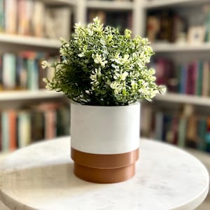 May include: A small, round marble-topped table with a white and brown planter. The planter holds a green and white leafy plant. The table has black legs and is in front of a bookshelf.