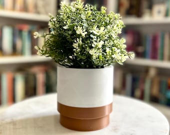 Jardinière d'intérieur et soucoupe de 6 po.|Trou de drainage|Plateau d'égouttement du pot de fleurs|Mèche d'eau|Jardinière de jardin décorative|Plantes d'intérieur|Pot 2 tons|Pot de plante|Pot personnalisé