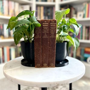PLANTER BOOKENDS | Book Swag | Library | Bookish Gift | Plants | 3D Printing