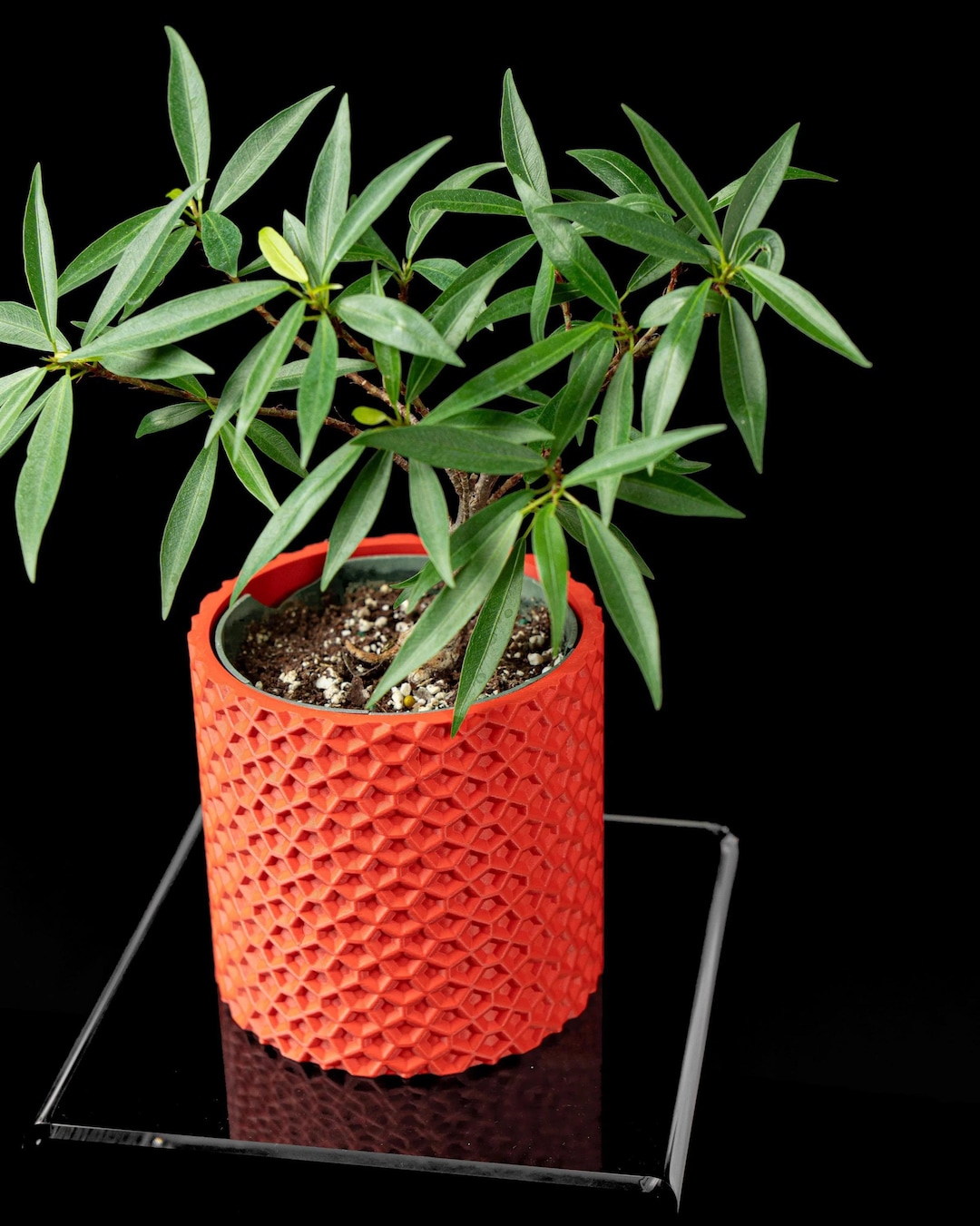 Pentagonal Pot 3d Printed Geometric Planter: Modern Pentagon Succulent Pot With ...