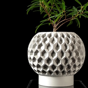 Vaso moderno con vassoio esagonale per piante da interno, realizzato nel Regno Unito