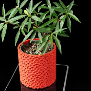 3d printed geometric planter: modern pentagon succulent pot with drainage