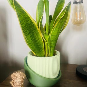 Ribbed indoor planter: modern minimalist plant pot with drainage tray