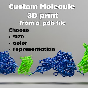 May include: 3D-printed custom molecule models in blue and green. The image includes text that reads "Custom Molecule 3D print from a pdb file." The text also says to choose size, color, and representation.