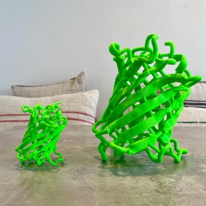 May include: Two bright green 3D-printed models of a protein structure. One model is smaller, and the other is larger. The models are on a gray surface, with a neutral background.