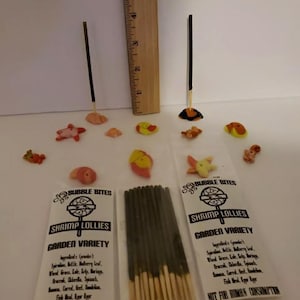 Shrimp Lollie Nano Sticks 60 ct Garden Variety + Holder Shrimp Food Home Made In USA