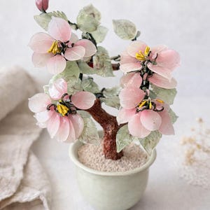 Puede incluir: Un árbol bonsái en miniatura con delicadas flores rosas y hojas verdes. El árbol está plantado en una pequeña maceta de cerámica verde claro. Las flores tienen centros amarillos y el tronco del árbol es marrón.