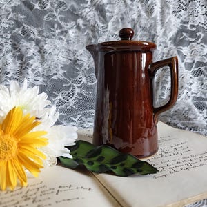 May include: A glossy dark brown ceramic jug with a matching lid and a side handle. The jug is positioned next to a yellow and white flower and a green leaf with dark spots, all resting on an open book with handwritten cursive text.