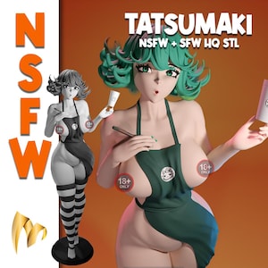 Tatsumaki STL Model (NSFW + SFW Pieced)